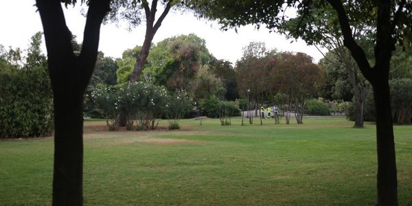 El Ayuntamiento de Sevilla aprueba el inicio de las obras de pavimentación del área de juegos infantiles del Parque de los Príncipes y la mejora del arbolado de su entorno