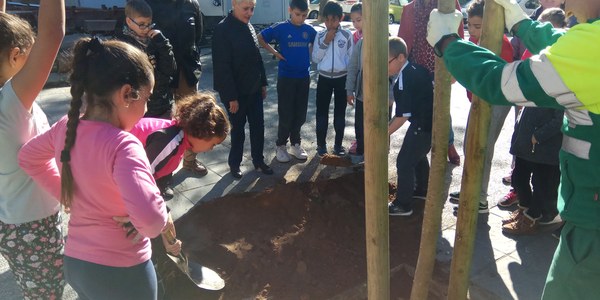 El Ayuntamiento planta 105 nuevos árboles en el Distrito San Pablo-Santa Justa dentro de su plan de replantación de más de 1.000 ejemplares en alcorques vacíos de toda la ciudad