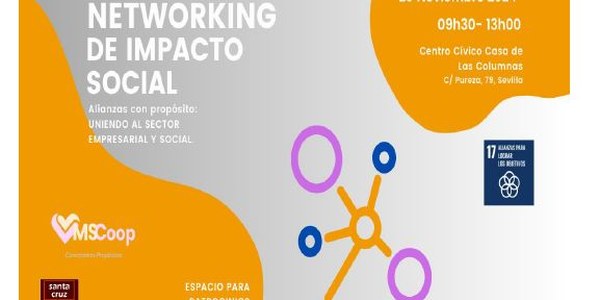 Networking de Impacto Social