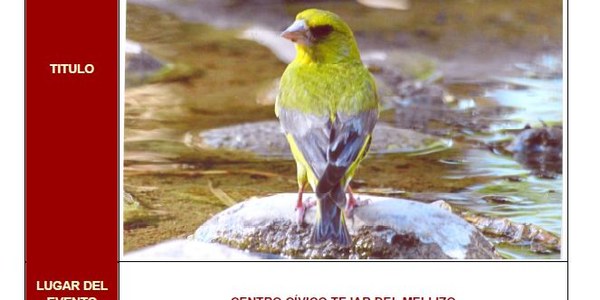 EVENTO EXPOSICIÓN DE PINTURA -Aves del Parque de los Príncipes-