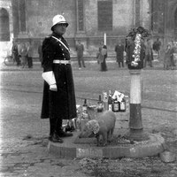 Aguinaldos para el municipal de la actual Avenida de la Constitución. 1954  ©ICAS-SAHP, Fototeca Municipal de Sevilla, fondo Gelán 